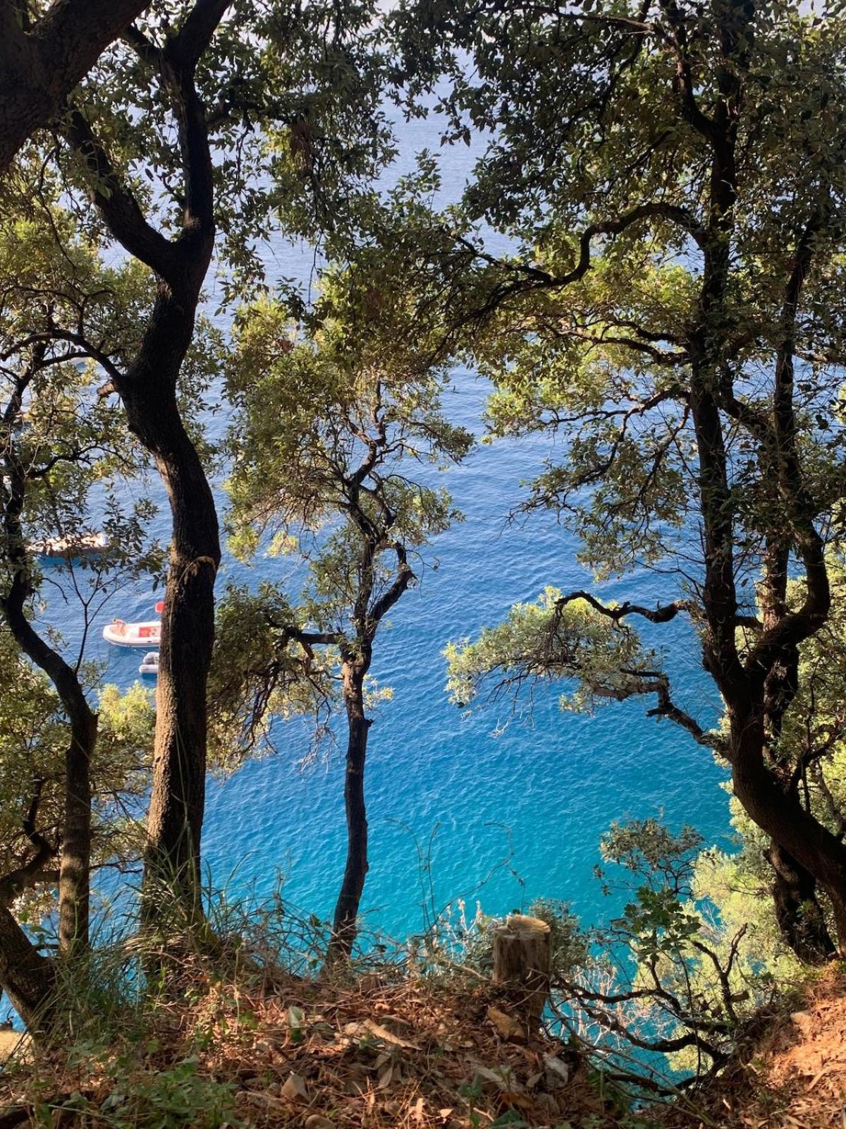 Sea View Apartment With Private Garden Camogli Bagian luar foto
